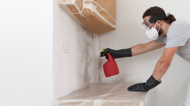 Professional Bathroom Mold Removal technician working in Vauxhall, NJ
