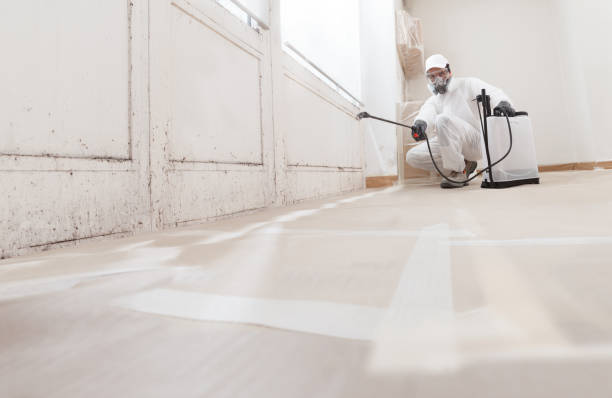 24/7 Emergency Bathroom Mold Removal experts in Vauxhall, NJ