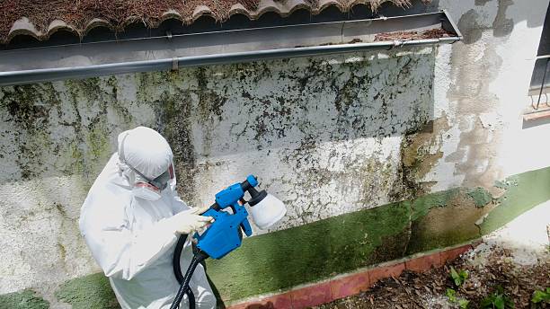 Trusted Bathroom Mold Removal service in Vauxhall, NJ - Cheap Mold Removal